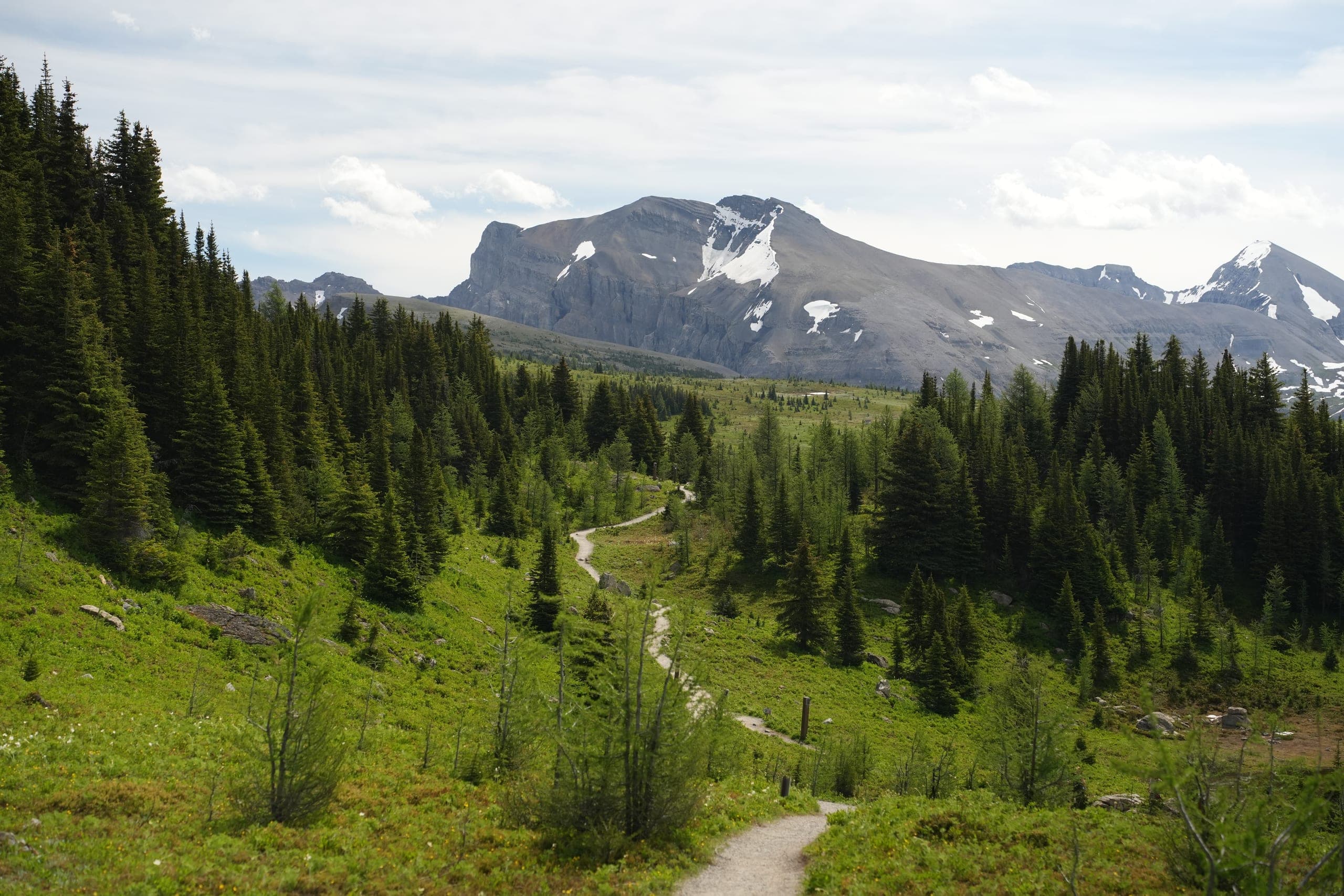 img 2538