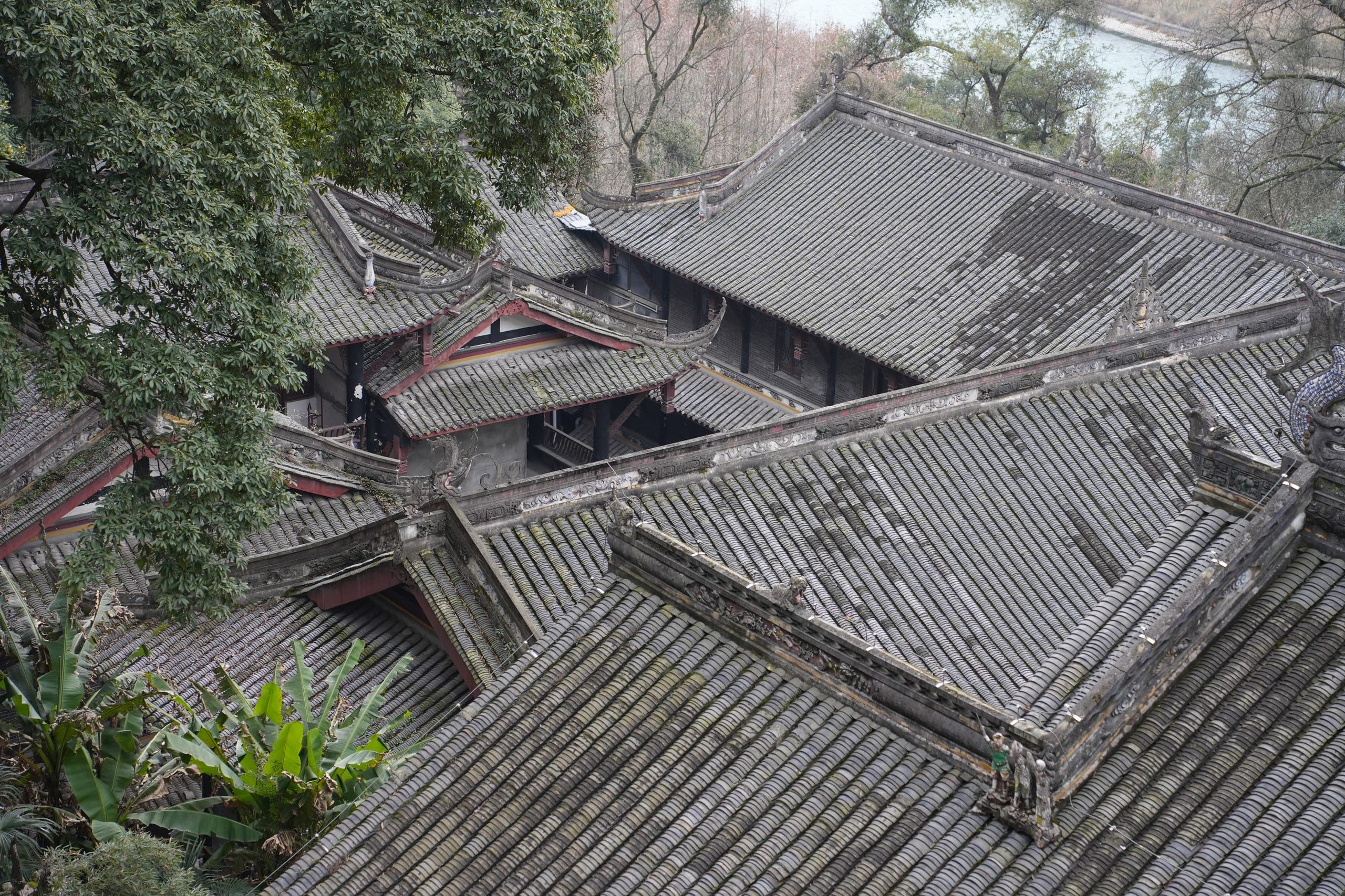 dsc03156
